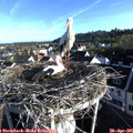 07_25-nest.jpg