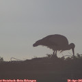 07_35-mast.jpg