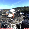 07_35-nest.jpg