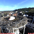 07_40-nest.jpg
