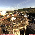 07_55-nest.jpg