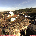 08_00-nest.jpg