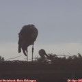 08_35-mast.jpg