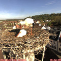 09_00-nest.jpg