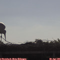 09_05-mast.jpg
