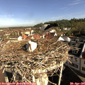 09_05-nest.jpg