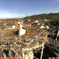 09_10-nest.jpg