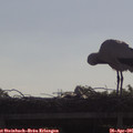 09_20-mast.jpg