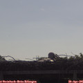 09_35-mast.jpg