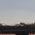 09_40-mast.jpg