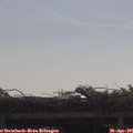 09_55-mast.jpg
