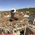 10_55-nest.jpg