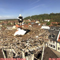 11_20-nest.jpg