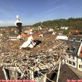 11_25-nest.jpg