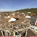 11_35-nest.jpg