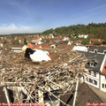 11_45-nest.jpg