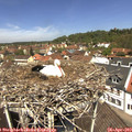 12_15-nest.jpg