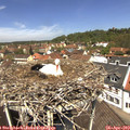 12_20-nest.jpg