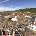 12_35-nest.jpg