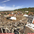 12_40-nest.jpg