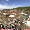 12_45-nest.jpg