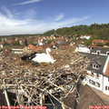12_50-nest.jpg