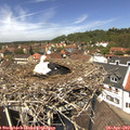 12_55-nest.jpg