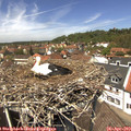 13_00-nest.jpg
