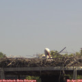 13_05-mast.jpg