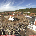 13_05-nest.jpg