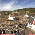 13_10-nest.jpg