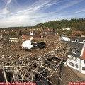 13_15-nest.jpg