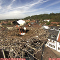 13_20-nest.jpg