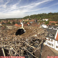 13_25-nest.jpg