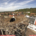 13_30-nest.jpg