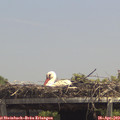 13_35-mast.jpg