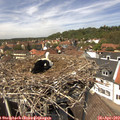 13_35-nest.jpg