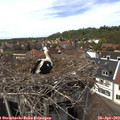 14_10-nest.jpg