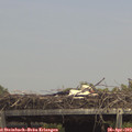14_25-mast.jpg