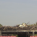 14_30-mast.jpg