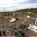 14_30-nest.jpg