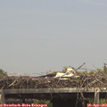 14_35-mast.jpg