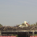 14_45-mast.jpg
