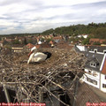 14_45-nest.jpg