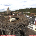 15_00-nest.jpg