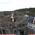 16_10-nest.jpg