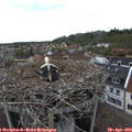 16_20-nest.jpg