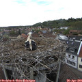 16_25-nest.jpg