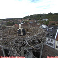 16_30-nest.jpg