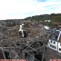 16_35-nest.jpg
